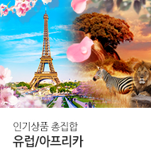 [기획전] 유럽&아프리카 인기상품 총집합